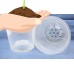 Clear Plastic Teku Pot for Orchids 6 inch Diameter - Quantity 1   